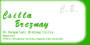 csilla breznay business card